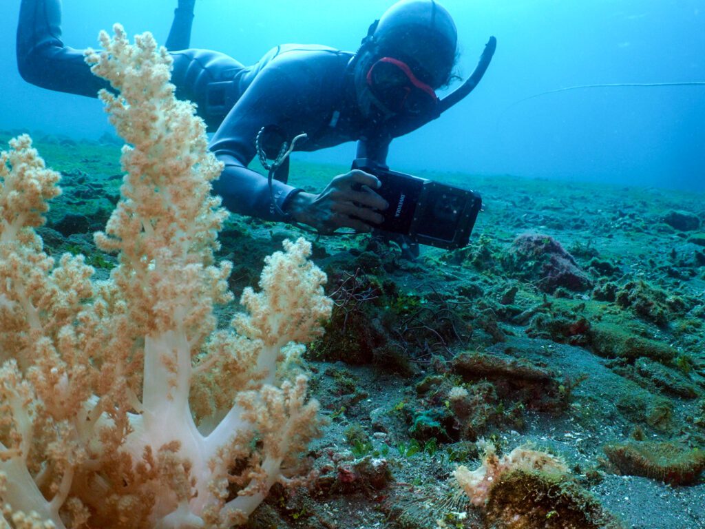 Muck snorkeling